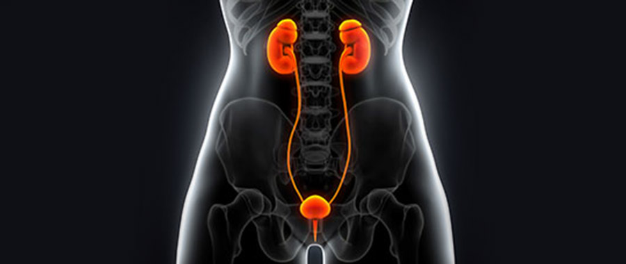 Urinary Problems