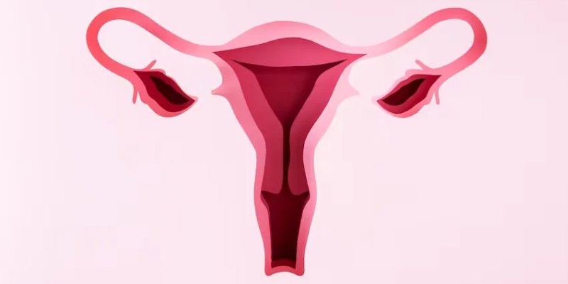 Vaginal Rejuvenation